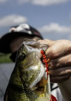 Quantum 4Street B-Ass Creature 6,3cm (7-pack) 9 Quantum 4Street B-Ass Creature 6,3cm (7-pack) -Moulinets spinning Boutique 22 3580002r 2