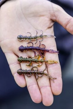 Quantum 4Street B-Ass Creature 6,3cm (7-pack) 10 Quantum 4Street B-Ass Creature 6,3cm (7-pack) -Moulinets spinning Boutique 22 3580002r 3