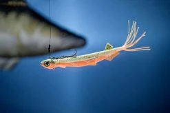 Quantum Pelagic Shad Set Hairy 21cm, 60g -Moulinets spinning Boutique 3461007r 3