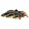 Savage Gear 4D Perch Shad (Bulk) 1 Savage Gear 4D Perch Shad (Bulk) -Moulinets spinning Boutique 73956r 1
