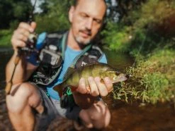 Perch Professor Fluky Shad 5,5cm (6-pack) 7 Perch Professor Fluky Shad 5,5cm (6-pack) -Moulinets spinning Boutique FS556P Or 3