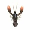 Nikko Craw 8,1cm (5-pack) -Moulinets spinning Boutique NIKKO431r 1