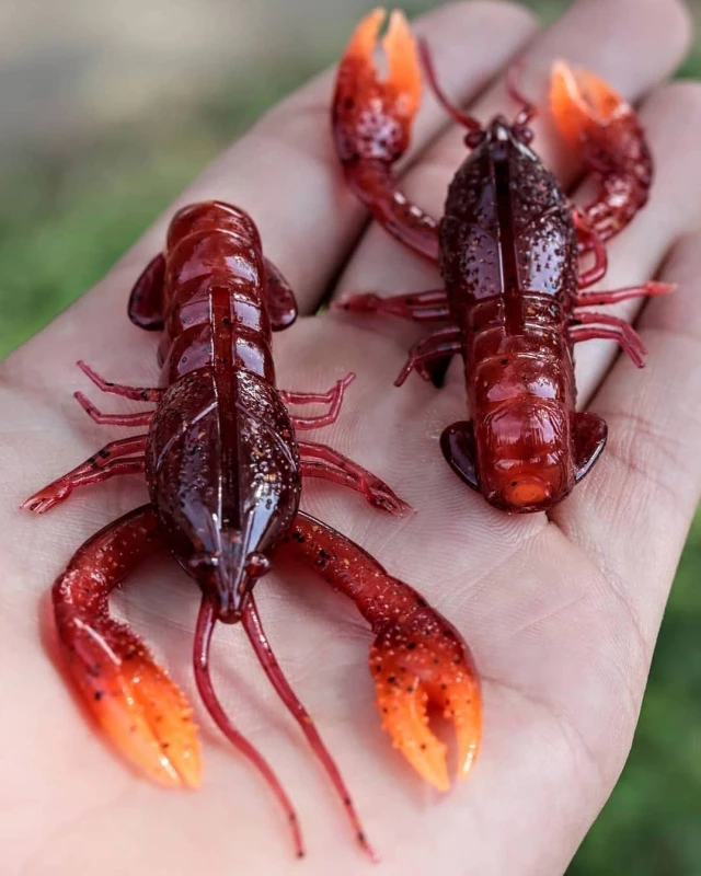 Nikko Craw 8,1cm (5-pack) 8 Nikko Craw 8,1cm (5-pack) – Image 6