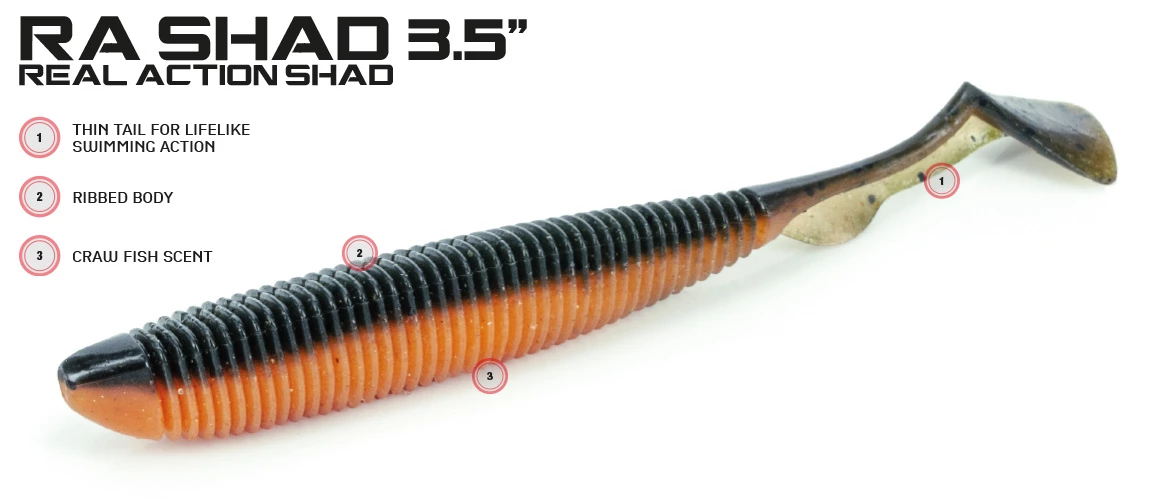 Molix RA Shad 3,5'', 9cm 4 Molix RA Shad 3,5'', 9cm – Image 2