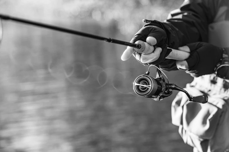 Shimano Stella FK 7 Shimano Stella FK – Image 5