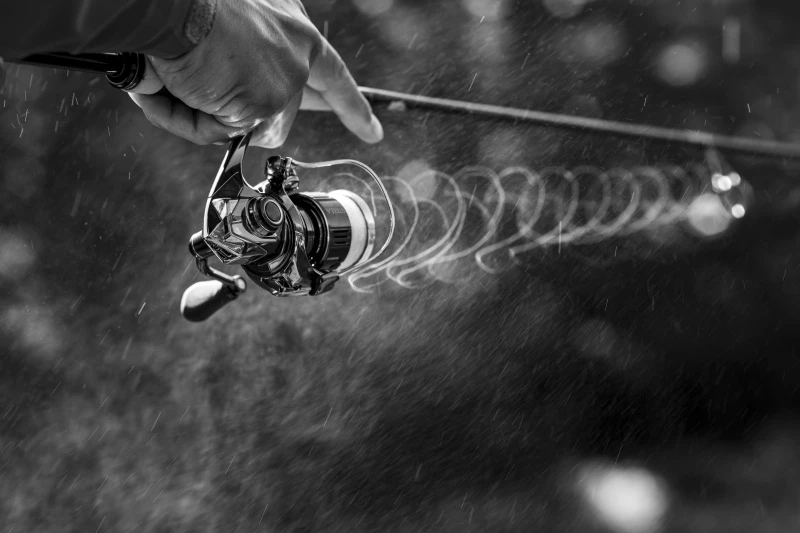 Shimano Stella FK 8 Shimano Stella FK – Image 6