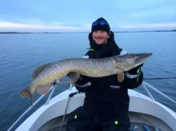 SvartZonker Big McRubber V2 - (2 Pack) 11 SvartZonker Big McRubber V2 - (2 Pack) -Moulinets spinning Boutique bigmcrubberv2 2pr 4