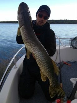 SvartZonker Big McRubber V2 - (2 Pack) 12 SvartZonker Big McRubber V2 - (2 Pack) -Moulinets spinning Boutique bigmcrubberv2 2pr 5