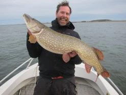 SvartZonker Big McRubber V2 - (2 Pack) 13 SvartZonker Big McRubber V2 - (2 Pack) -Moulinets spinning Boutique bigmcrubberv2 2pr 6